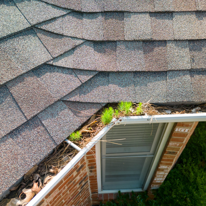 How Gutters Protect Your Roof and Home